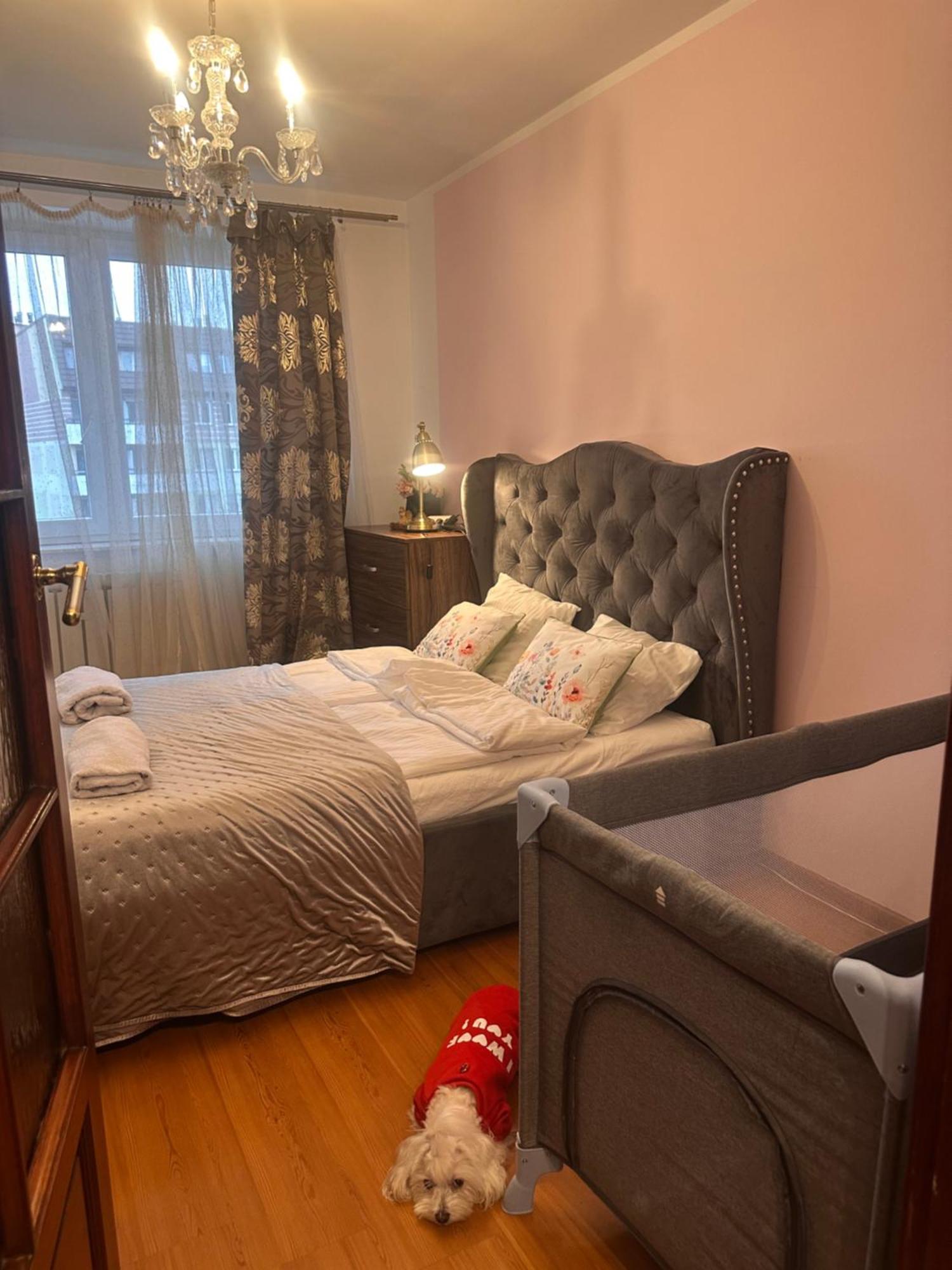 Apartament Diana - Traugutta Vratislav Exteriér fotografie